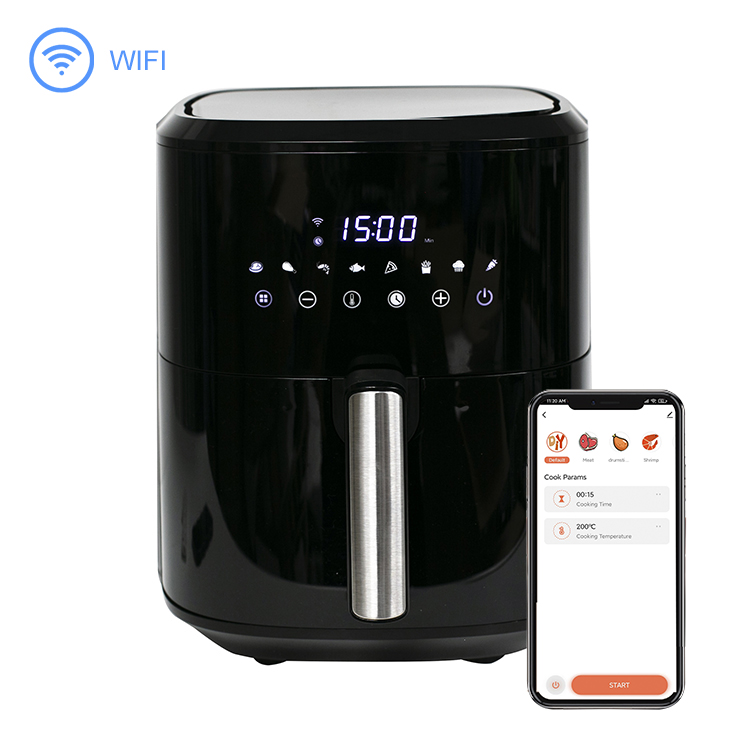 Air Fryer Model Display 2