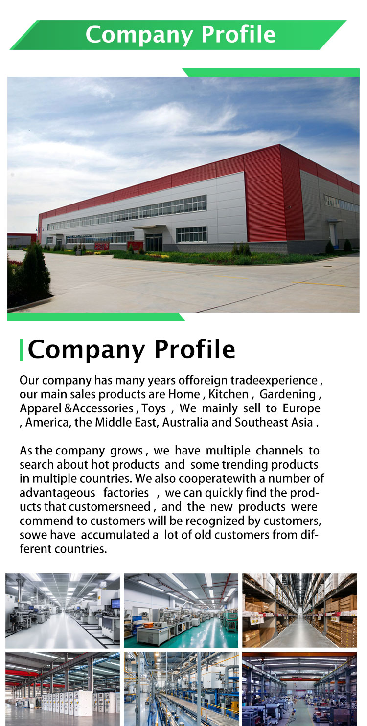 Company Presentation