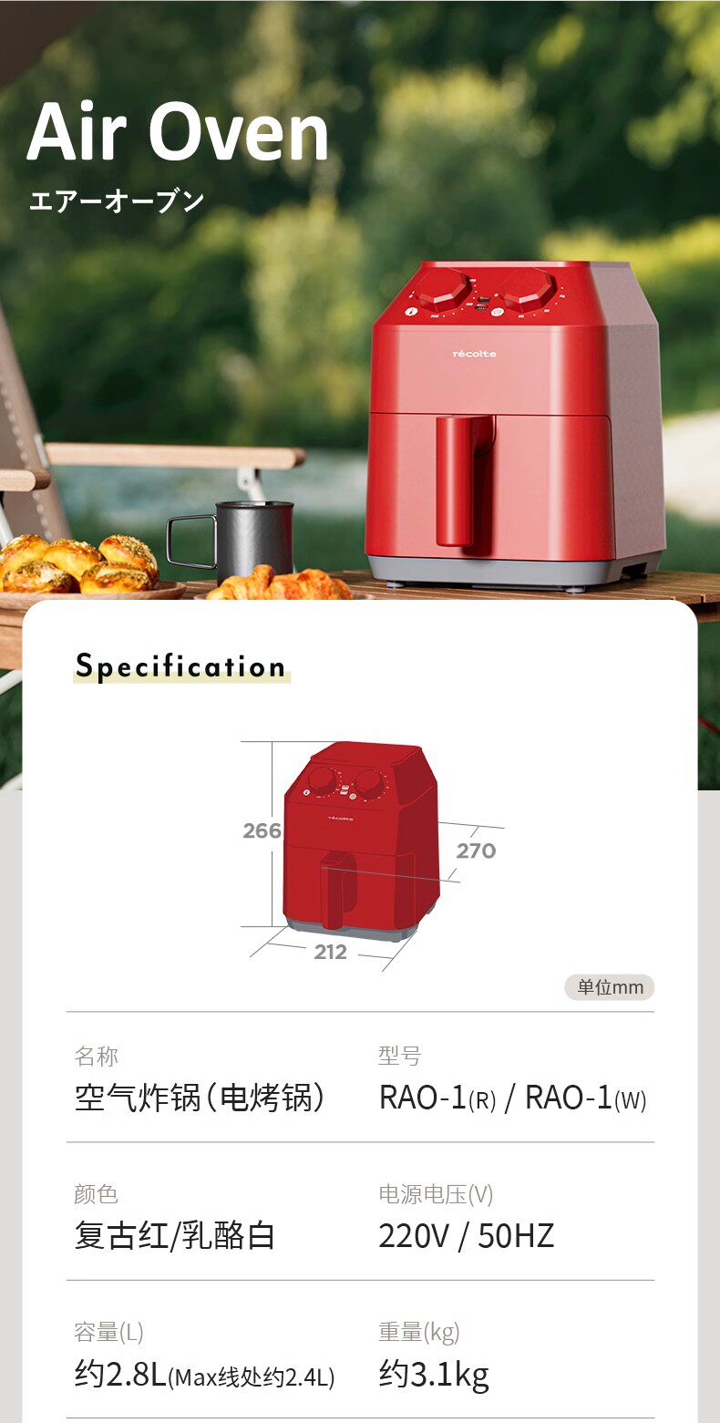 Air Fryer Showcase 21