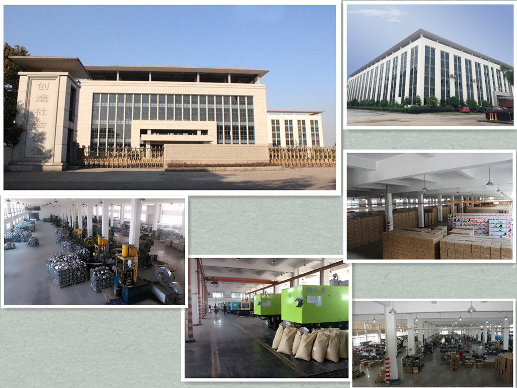 Company Profile Details