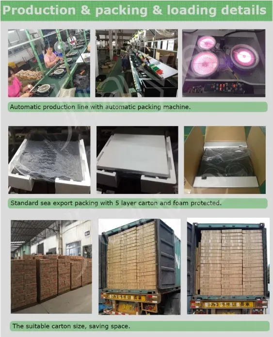 Packing details of the Electric Air Fryer Oven