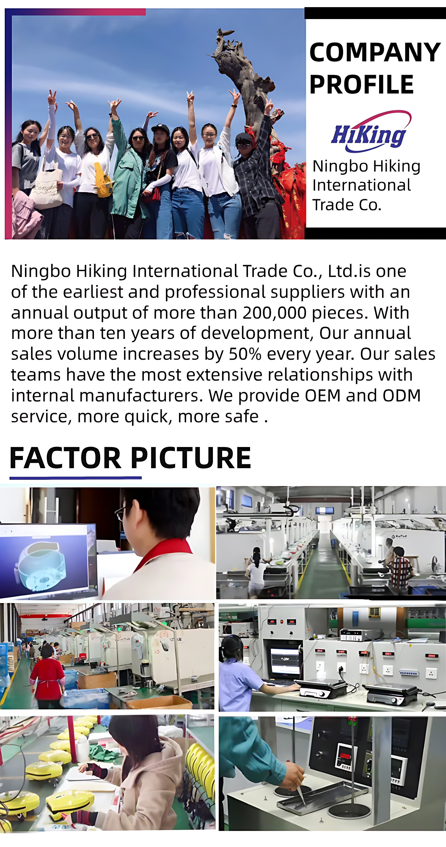 Company Introduction Overview