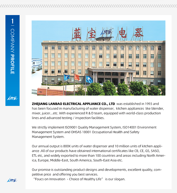 Company Profile Details 1
