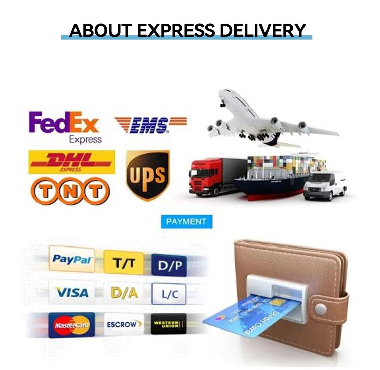 Shipping Logistics