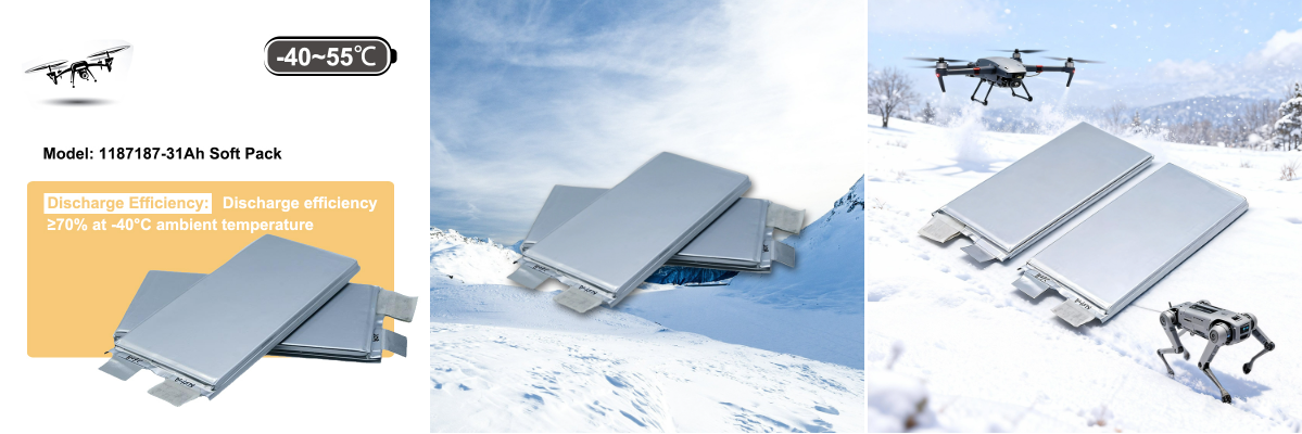 Ultra Low Temperature Lithium Pouch Cells