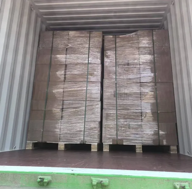 Caixa de Junção de Alta Resistência em Ral7035 Aço Laminado a Frio para Uso Elétrico