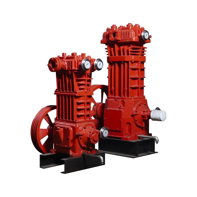 Skid Mounted High Efficiency Biogas Reciprocating Compressor Unit