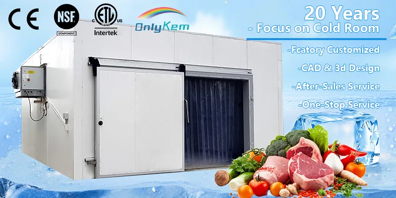 Painel PIR à prova de fogo para armazenamento a frio