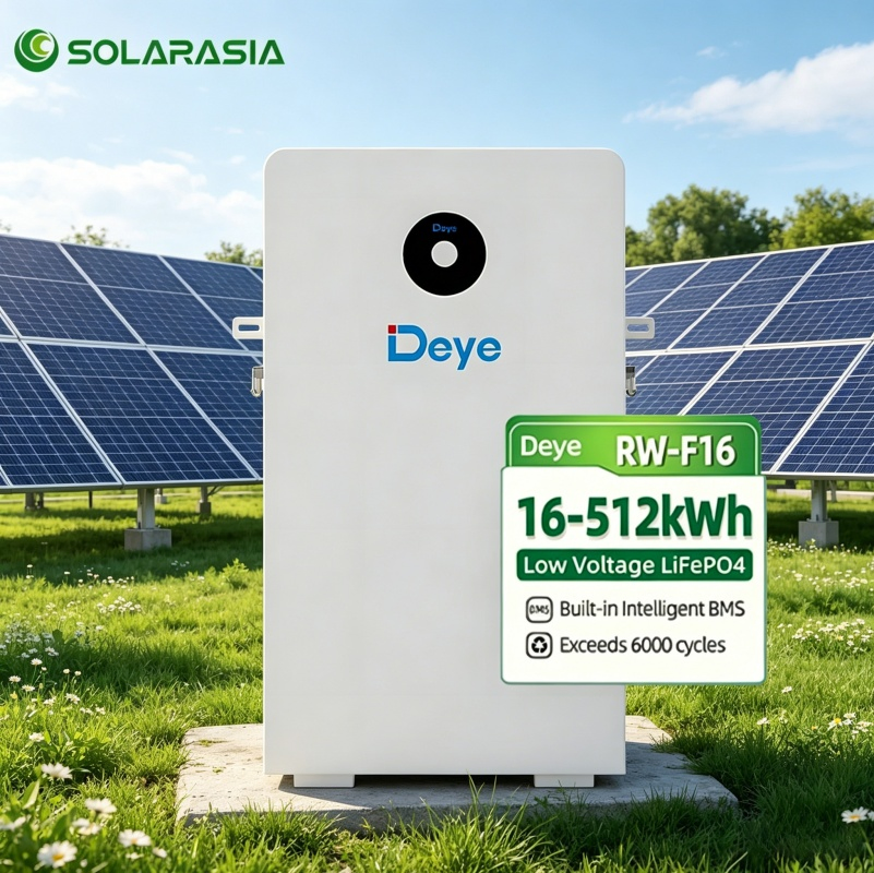 دي RW-F16 16kwh 51.2V بطارية تخزين الطاقة الشمسية من أيون الليثيوم مثبتة على الحائط أو مثبتة على الأرض بسعر نظام الطاقة الشمسية السكنية