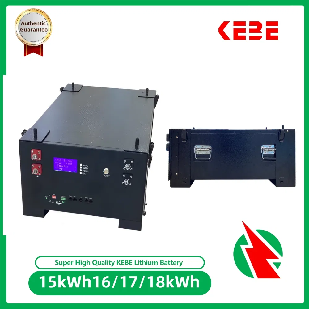51.2V 15kwh تخزين الطاقة المنزلية العميق LiFePO4 بطارية 300ah نظام الطاقة الشمسية المتجددة بطارية ليثيوم
