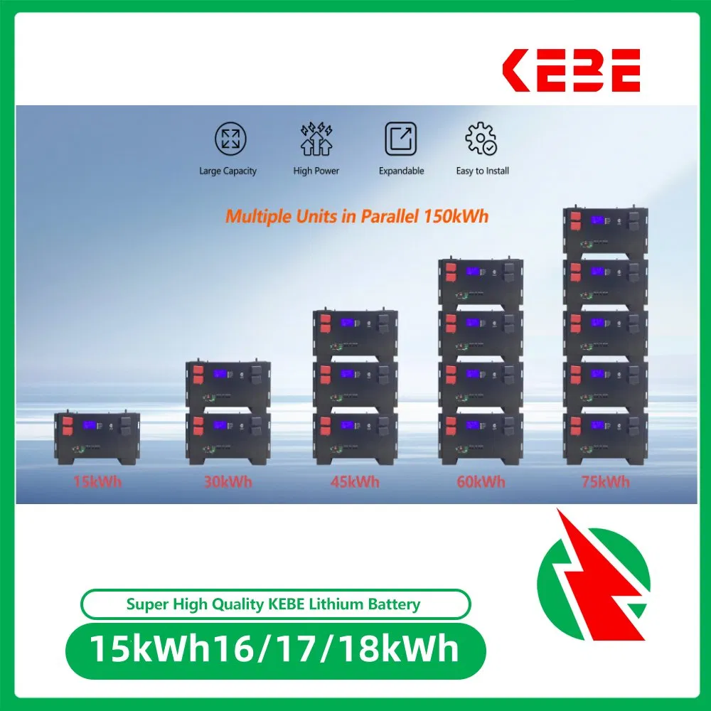 51.2V 15kwh تخزين الطاقة المنزلية العميق LiFePO4 بطارية 300ah نظام الطاقة الشمسية المتجددة بطارية ليثيوم