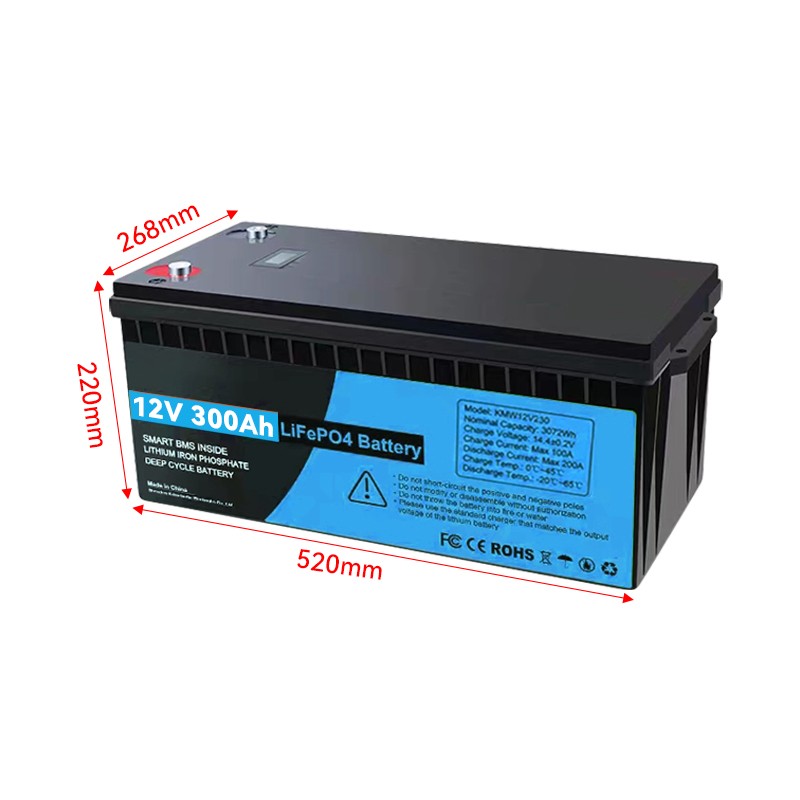 12V 300ah LiFePO4 بطارية دورة عميقة مع نظام إدارة البطارية، سعة عالية جداً، لأنظمة تخزين الطاقة، الطاقة المتجددة 100ah 120ah 150ah 200ah 230ah 280ah