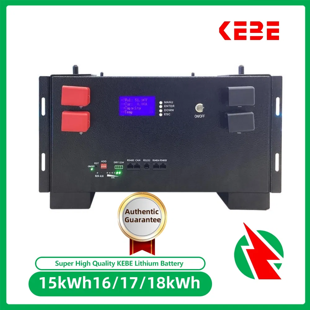 51.2V 15kwh تخزين الطاقة المنزلية العميق LiFePO4 بطارية 300ah نظام الطاقة الشمسية المتجددة بطارية ليثيوم