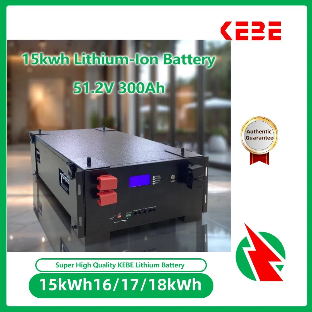 51.2V 15kwh تخزين الطاقة المنزلية العميق LiFePO4 بطارية 300ah نظام الطاقة الشمسية المتجددة بطارية ليثيوم