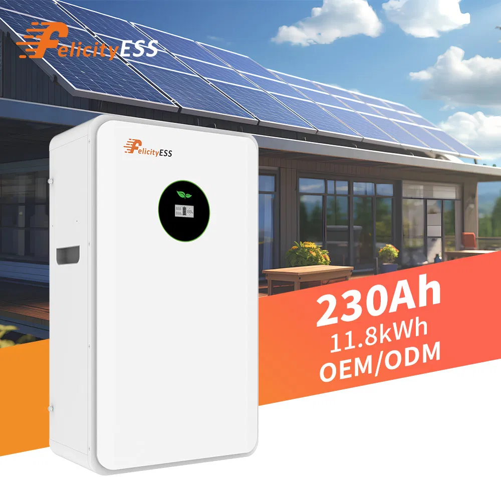 فليسيتييس 48V حزمة بطارية ليثيوم أيون 10kwh 20kwh نظام تخزين الطاقة المنزلية الهجينة عالية الجهد