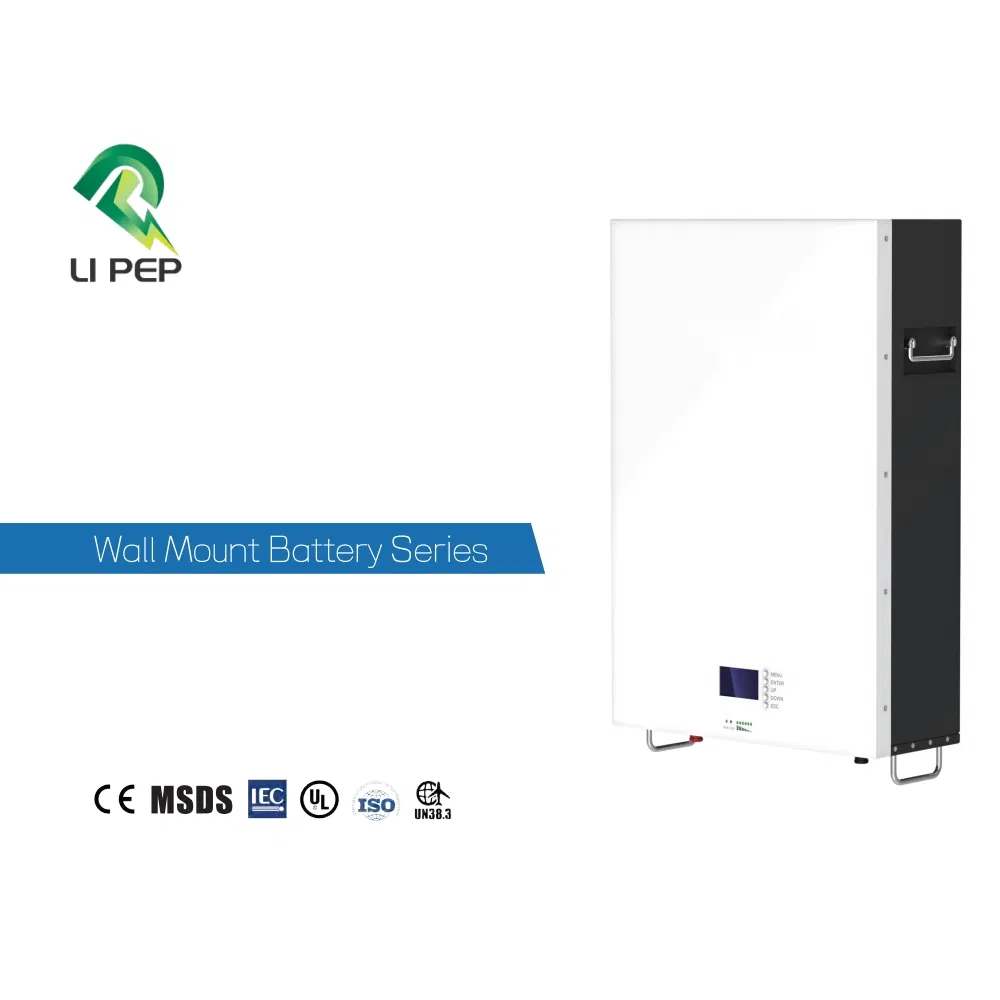 51.2V100/200/300ah نظام بطارية ليثيوم أيون لتوليد الطاقة الشمسية للمنزل LiFePO4 محطة طاقة تعمل ببطارية ليثيوم أيون مثبتة على الحائط لتخزين الطاقة