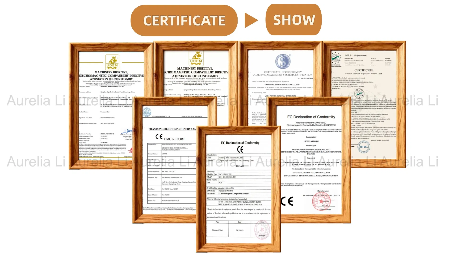 Vacuum Lifter View 2