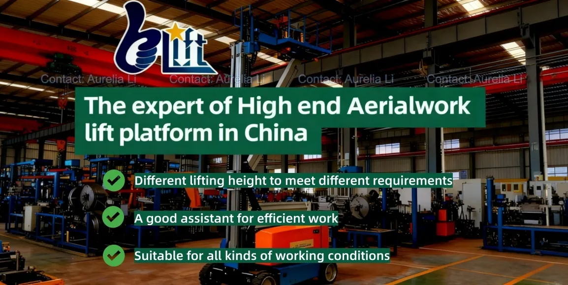 Vacuum Lifter View 1