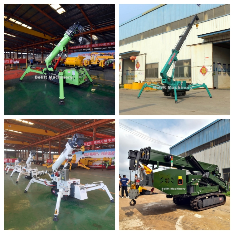 Customized Small Mini Tracked Spider Crane Crawler Crane Boom Lift with Hydraulic