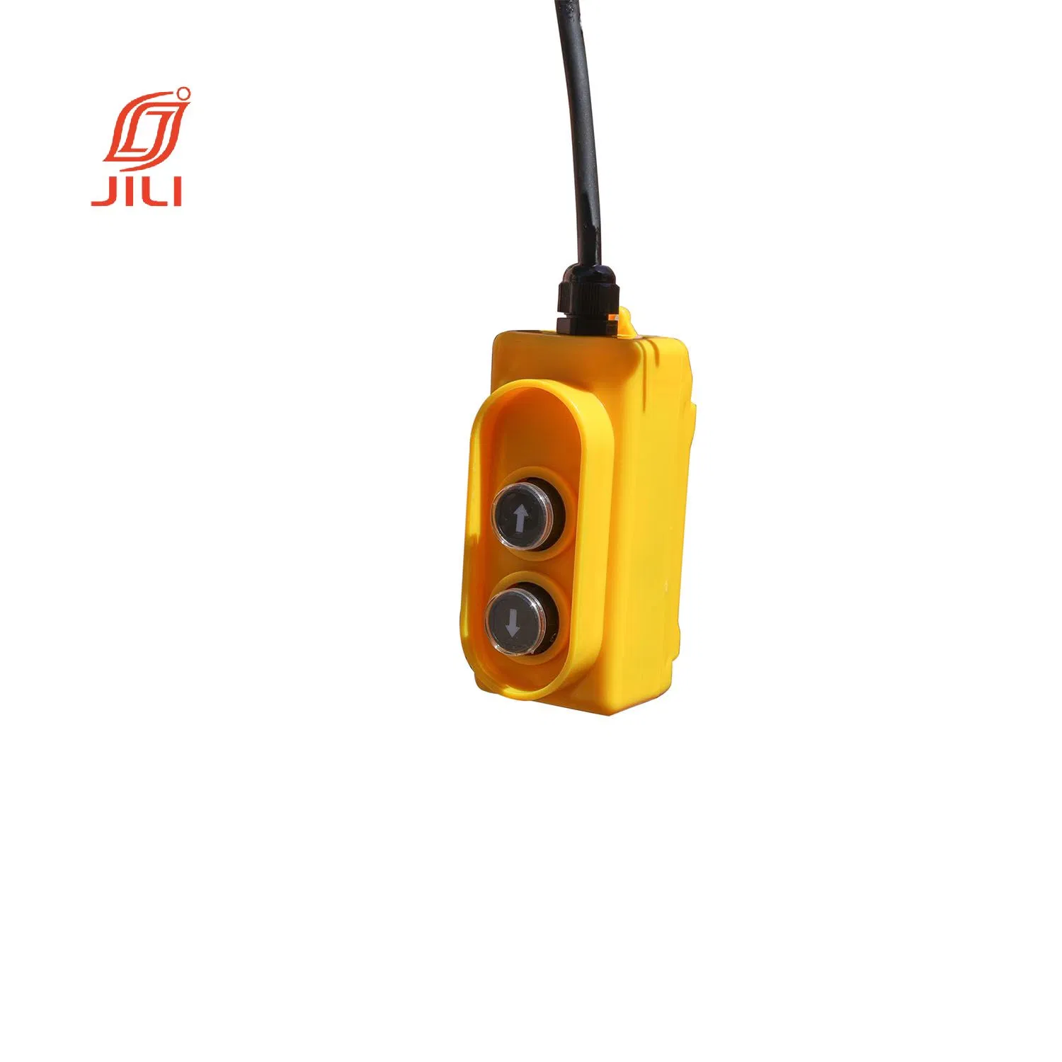 Electric Hoist Winch 1320lbs Lifting Engine Crane Cable Overhead Lift W/ Remote