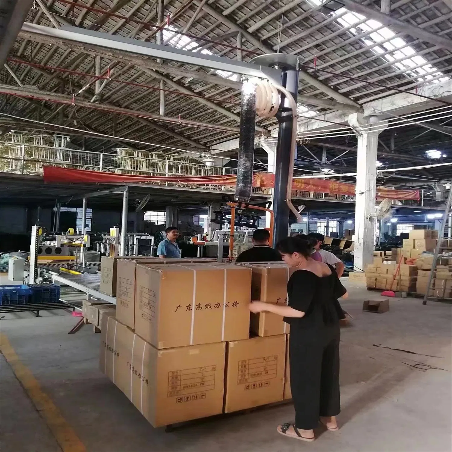 50kg Vacuum Tube Lift with Siemens Motor