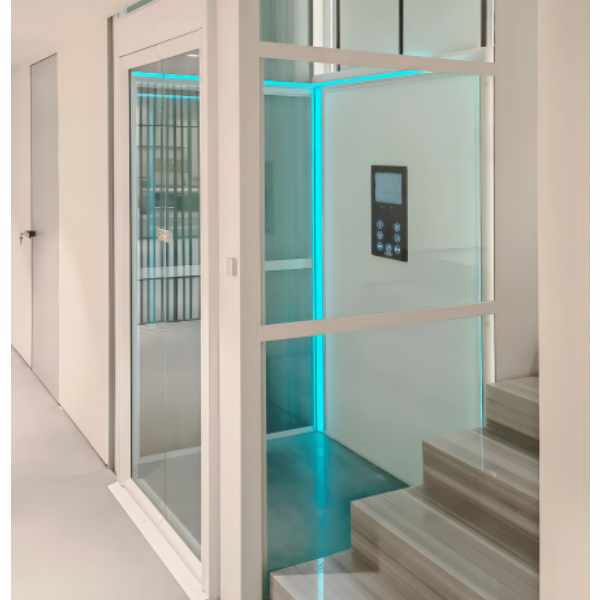 Electric Vertical Disable Elderly House Home Lift Elevator Lift Platform Hydraulic Home Villa Wheelchair Hoist Residential Passenger Lift