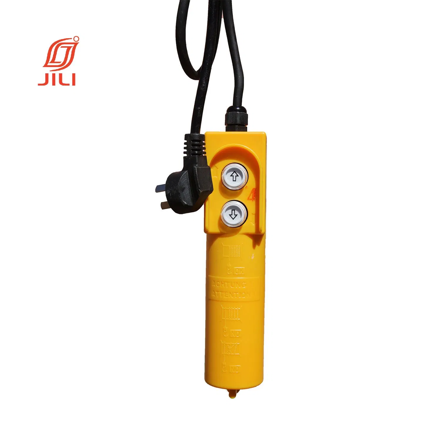 Electric Hoist Winch 1320lbs Lifting Engine Crane Cable Overhead Lift W/ Remote