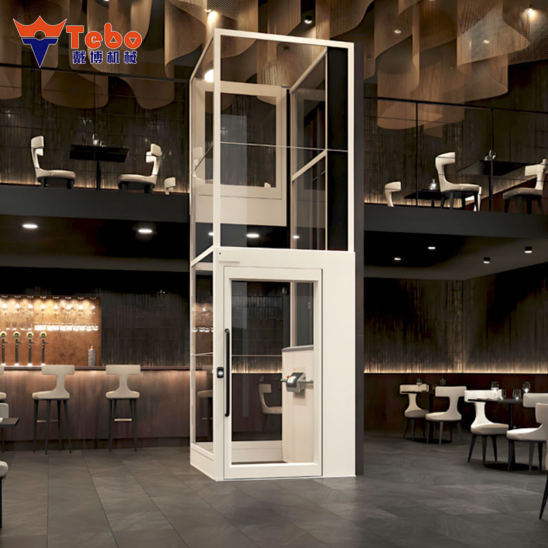 Small Home Lift for Multi Floor Houses with Transparent Vacuum Glass Design