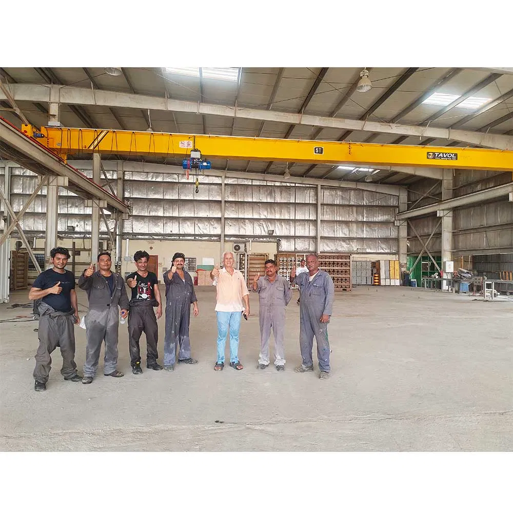 Single Girder Crane
