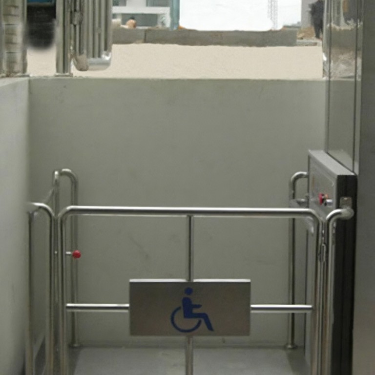 Factory Price Stable Adaptable Barrier-Free Lift Platform with ISO