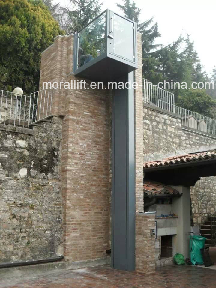 Hydraulic Vertical Wheelchair Platform for Home Use with CE