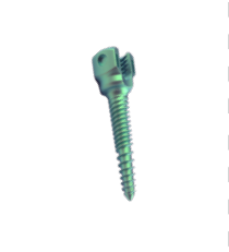 CE Posterior Orthopedic Usmart 5.5 mm Spine-rod  Cortical Polyaxial Screws  From Beijing Fule