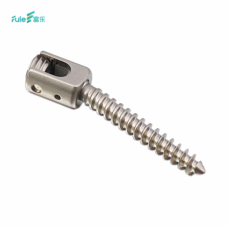 High Quality and Competitive Price Bone Cement Screw with Various of Types