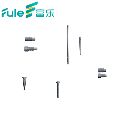 Competitive Price CE Marked Metal PFNA Femoral and Reconstructional Intramedullary Nail for Trauma Surgery