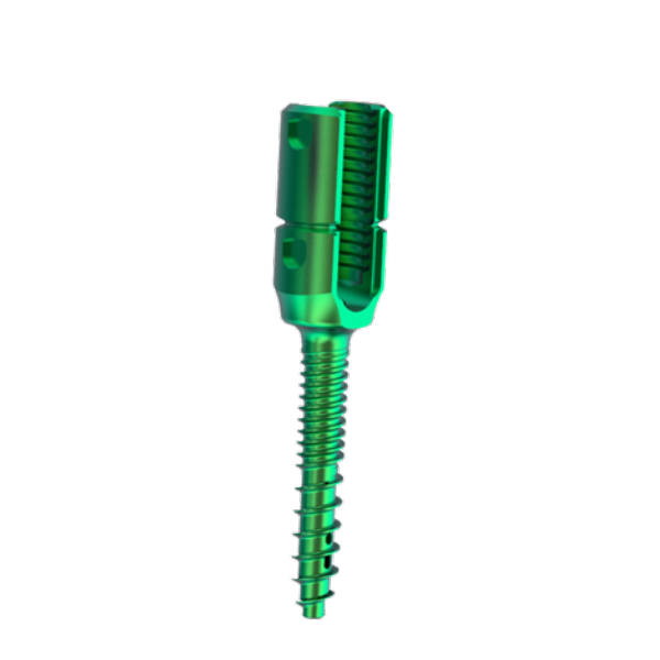 Competitive Price High Quality 5.5 Usmart Screw-Rod System, Bone Cement Polyaxial Reduction Pedicle Screw Self-tapping