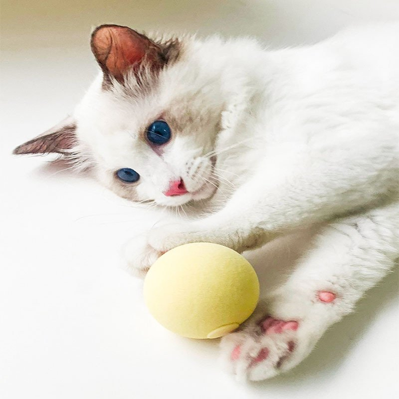 Juguete interactivo de peluche inteligente para gatos, bola eléctrica con catnip, juguete sonoro para gatitos, bola que hace ruido