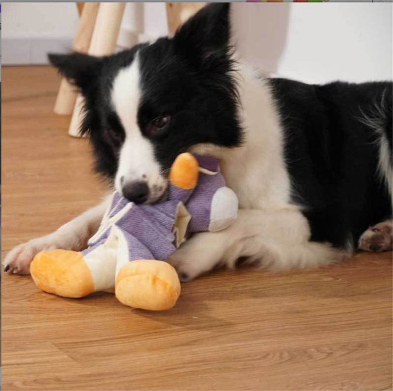 Venta Caliente de Amazon 3 en 1 Juguete de Peluche para Perros de Raza Grande, Lindos Juguetes Squeaky para Perros Masticadores, Juguetes para Masticar Perros para Cachorros, Pequeños, Medianos, Grandes Mascotas