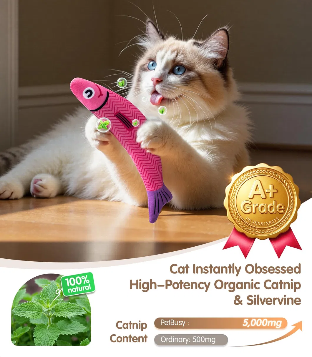 Juguetes de Gato de Estilo de Caricatura con Catnip 1