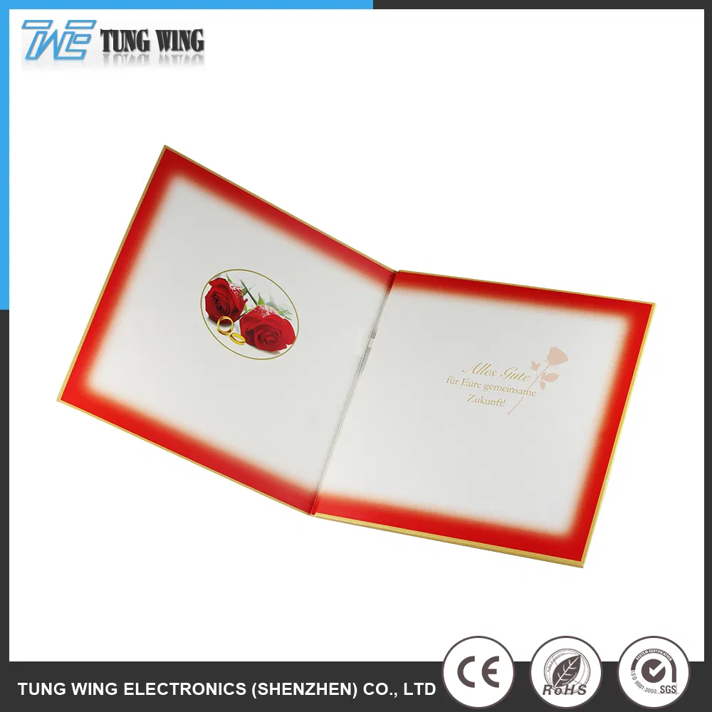 Caja de sonido electrónico juguetes de peluche musicales