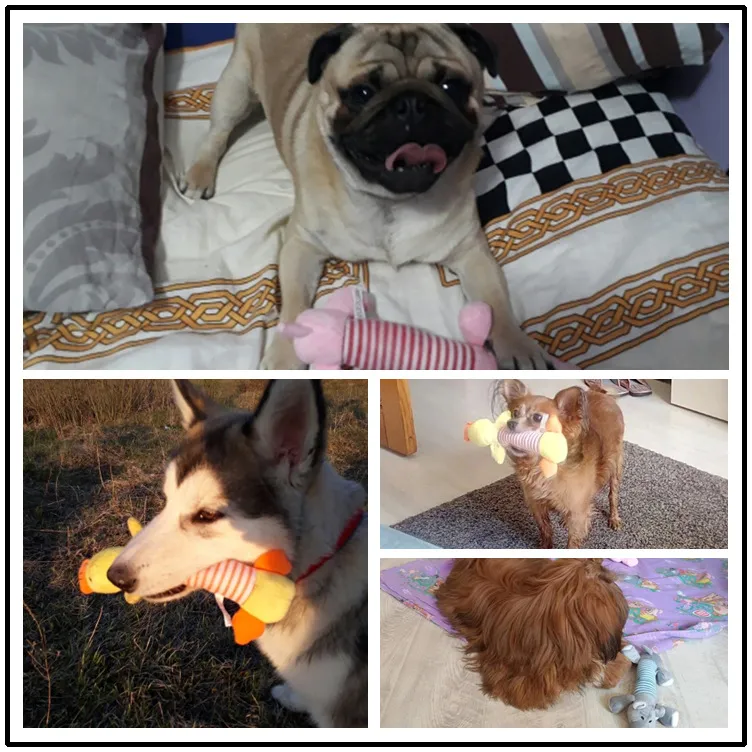Juguetes de peluche ecológicos para mascotas con sonido, accesorios para el juego de perros