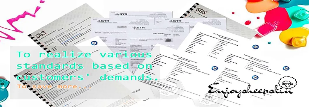 SGS REACH BV TUV Certification