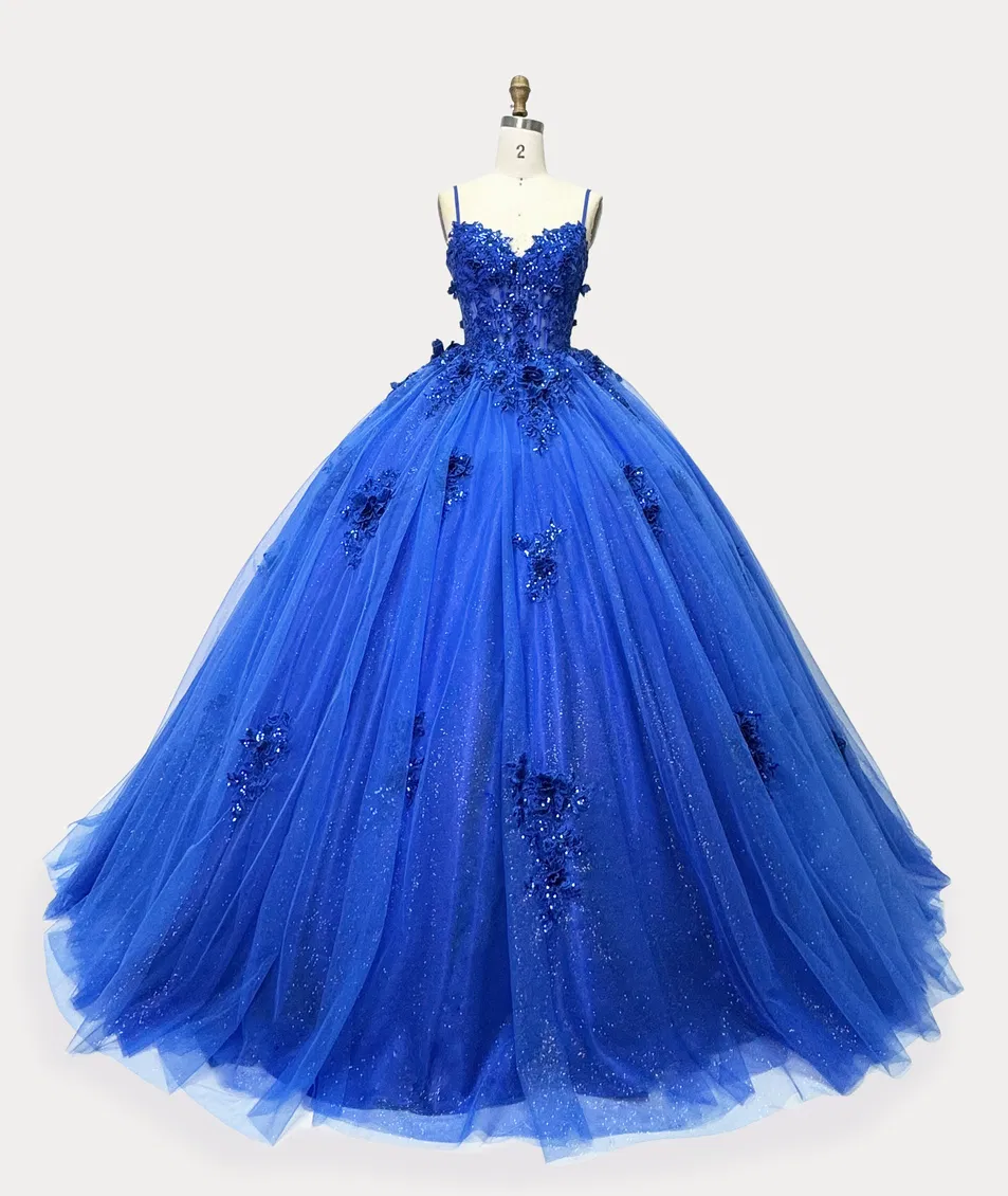 Blue Quinceanera Lace Party Dress Front View