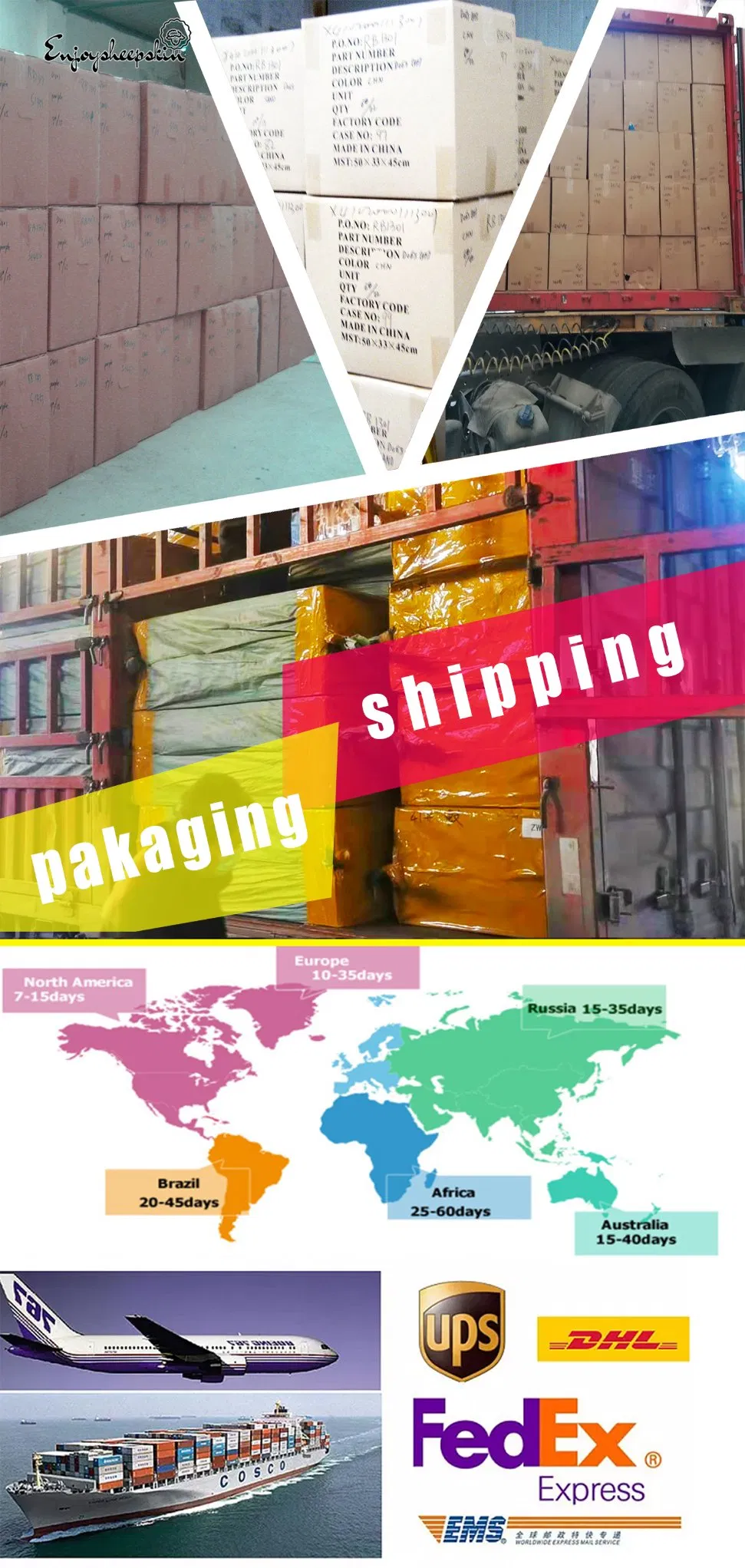 Shipping and Logistics