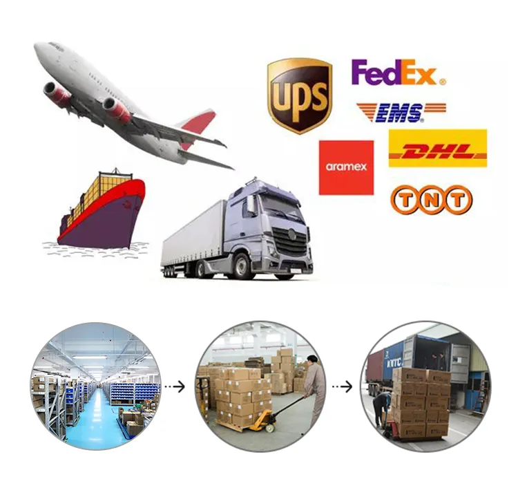 Packaging and Logistics