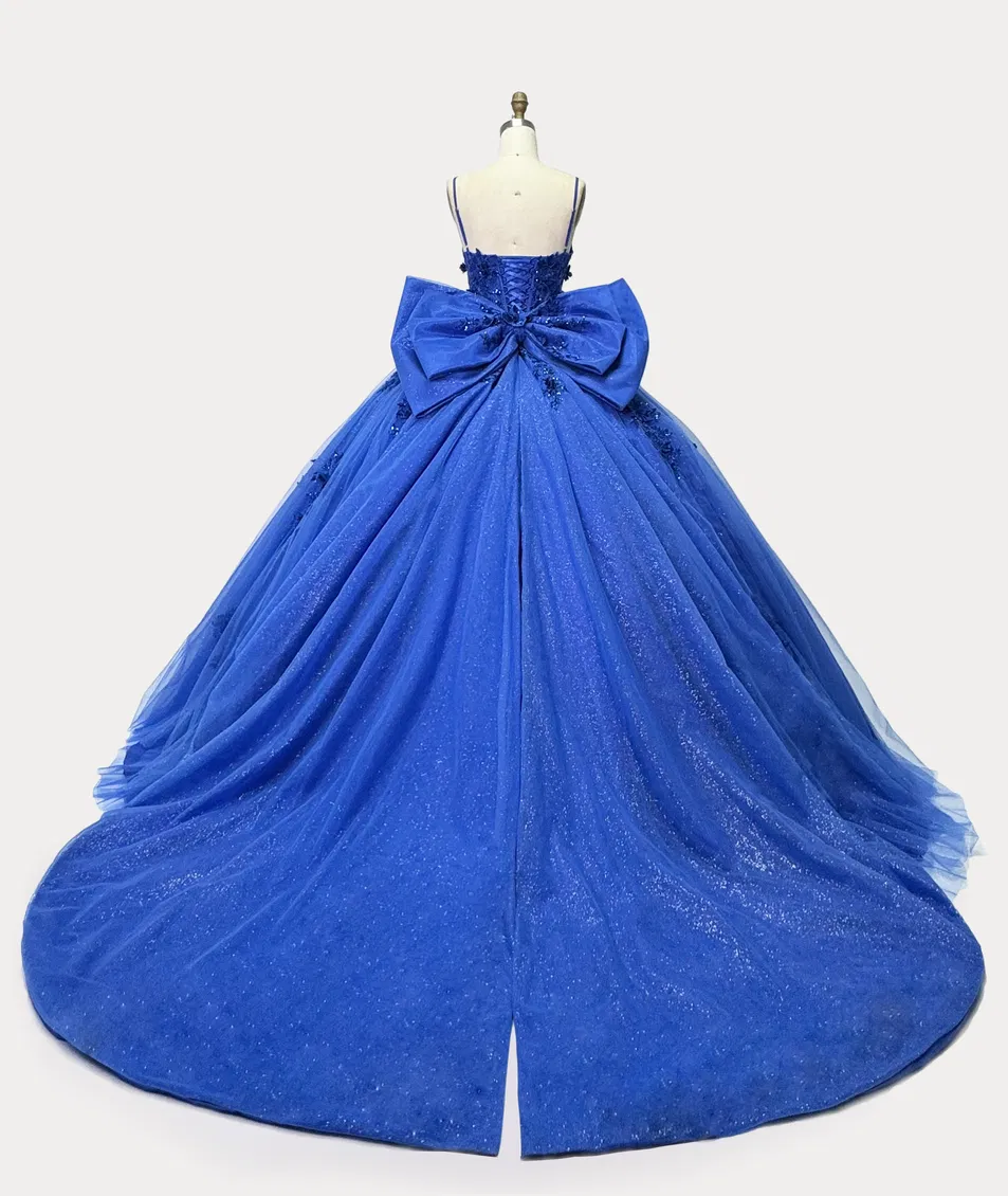 Blue Quinceanera Lace Party Dress Back View