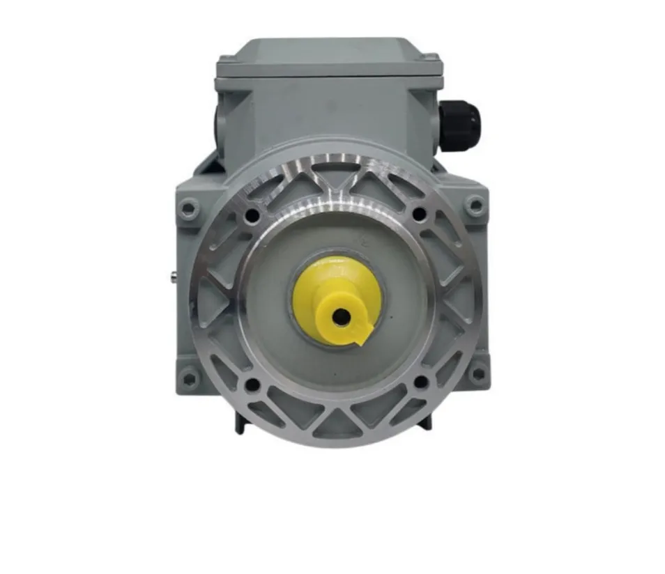 Estructura Corporal Robusta Motor Eléctrico de Alto Rendimiento para Maquinaria Alimentaria