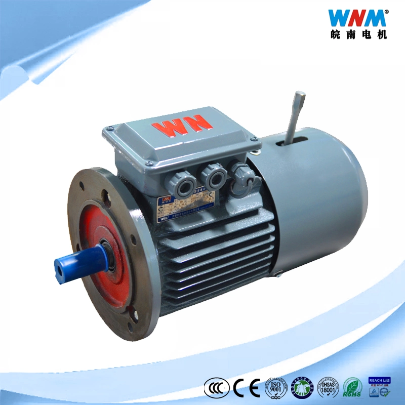 Yznp2 Controlador de Velocidad Eléctrica de Corriente Alterna de Frecuencia Variable Inteligente 25~100Hz con Inversor de Accionamiento Directo 0.18~7.5kw para Bomba Ventilador Yznp2-80m1-2 0.75kw
