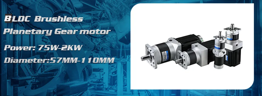 12V 24V 36V 48V Motor de engranaje planetario BLDC sin ranura 1200W 2HP
