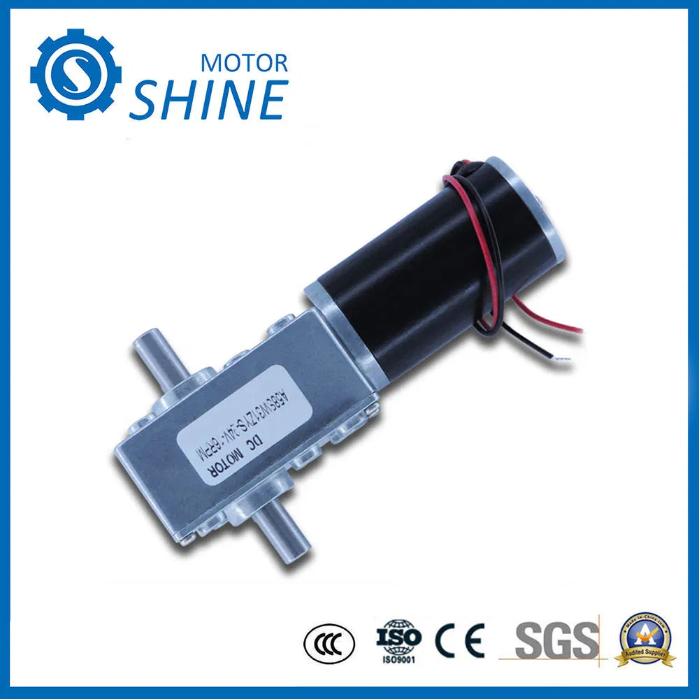 6V-24V Engranaje de gusano 58 Motor de corriente continua en miniatura
