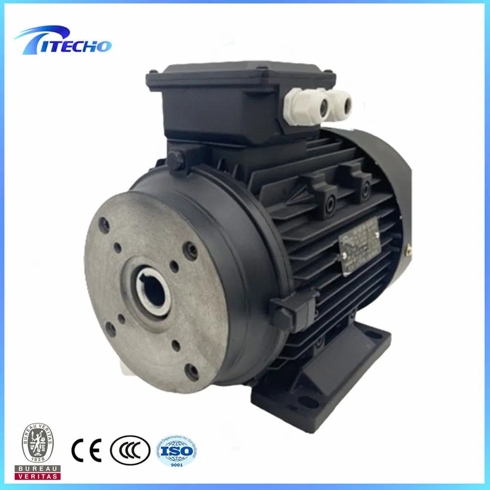 2.2kw 4kw 5.5kw 7.5kw 11kw 15kw 18.5kw Motor de Eje Hueco de Doble Rodamiento para Bomba Italiana 24mm